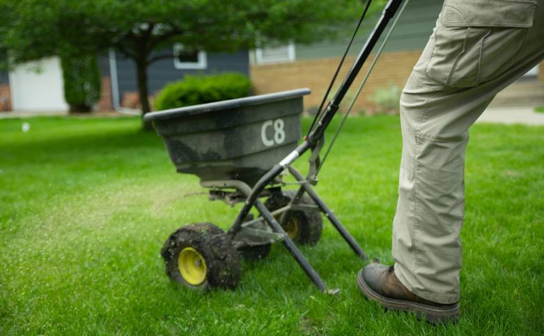 Overseeding Lawn